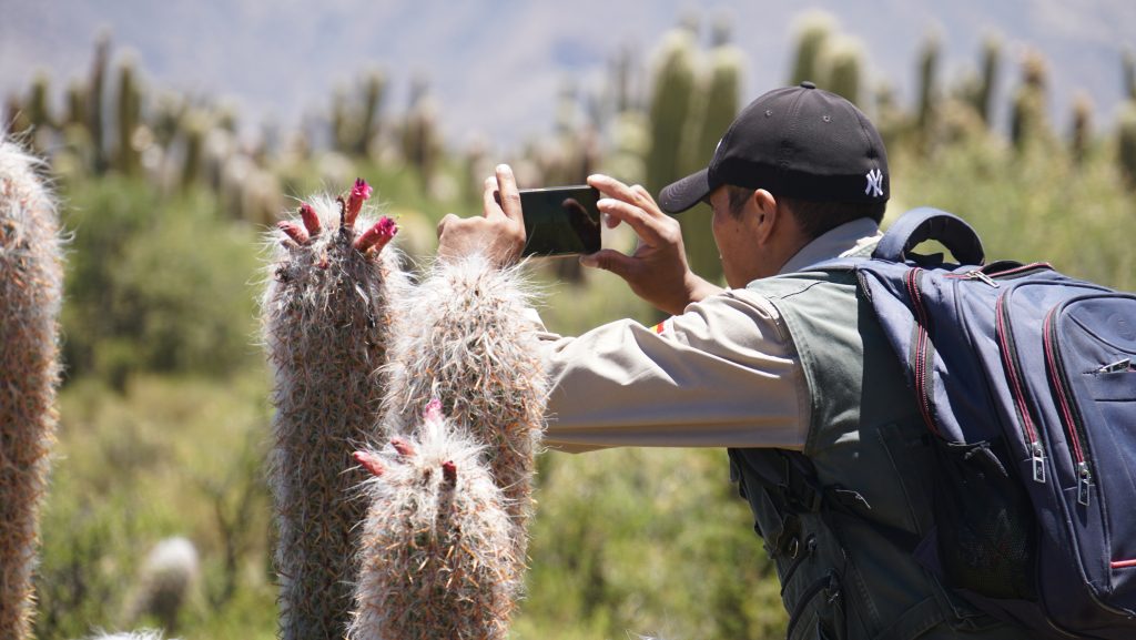 “Guardianes de la Naturaleza: Revolucionando las Redes para Salvar las Áreas Protegidas de Bolivia