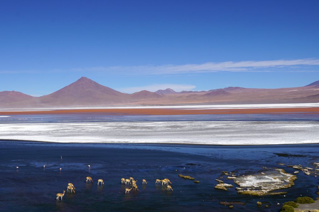 Bolivia Fortalece la Gestión Financiera de sus Áreas Protegidas